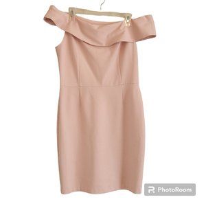 Alexis Admor Off the Shoulder Siloutte Cocktail Blush Dress Size M